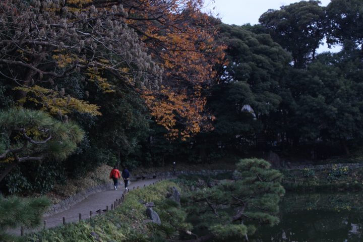 公園の景色