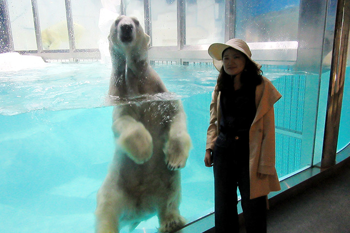 ホッキョクグマ