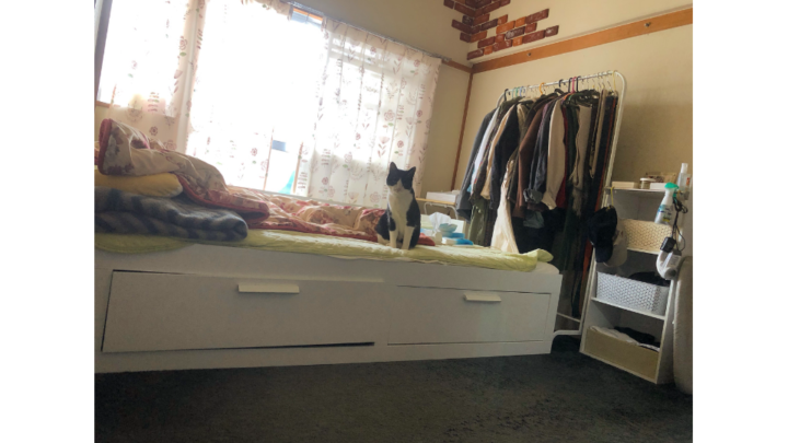 after(断捨離開始13時間後)